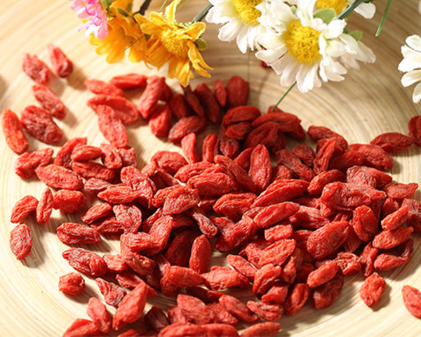 Wie lagert man Goji-Beeren ein?