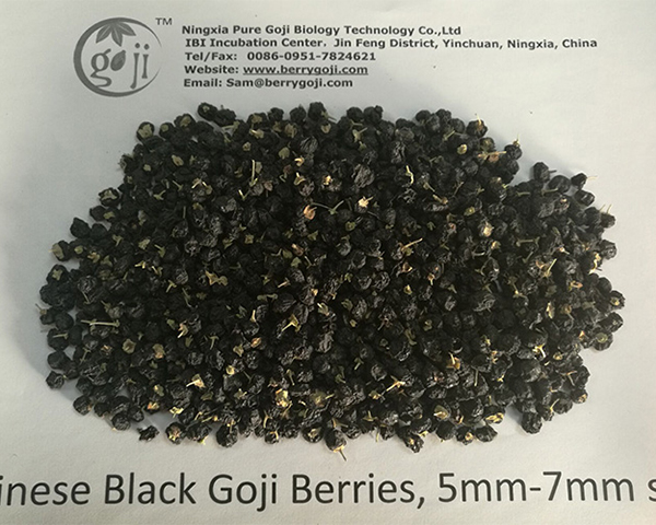Čern&aacute; Goji Berry Kouzeln&eacute; Ovoce